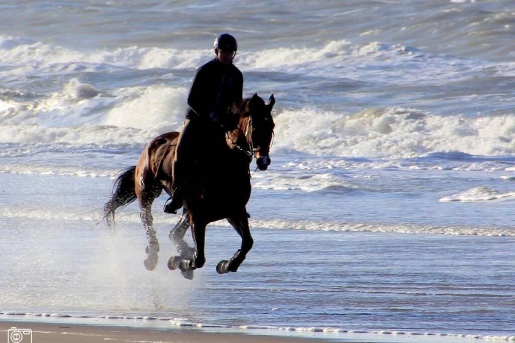 Beachtime Close To The Beach, City Centre Zandvoort Bagian luar foto